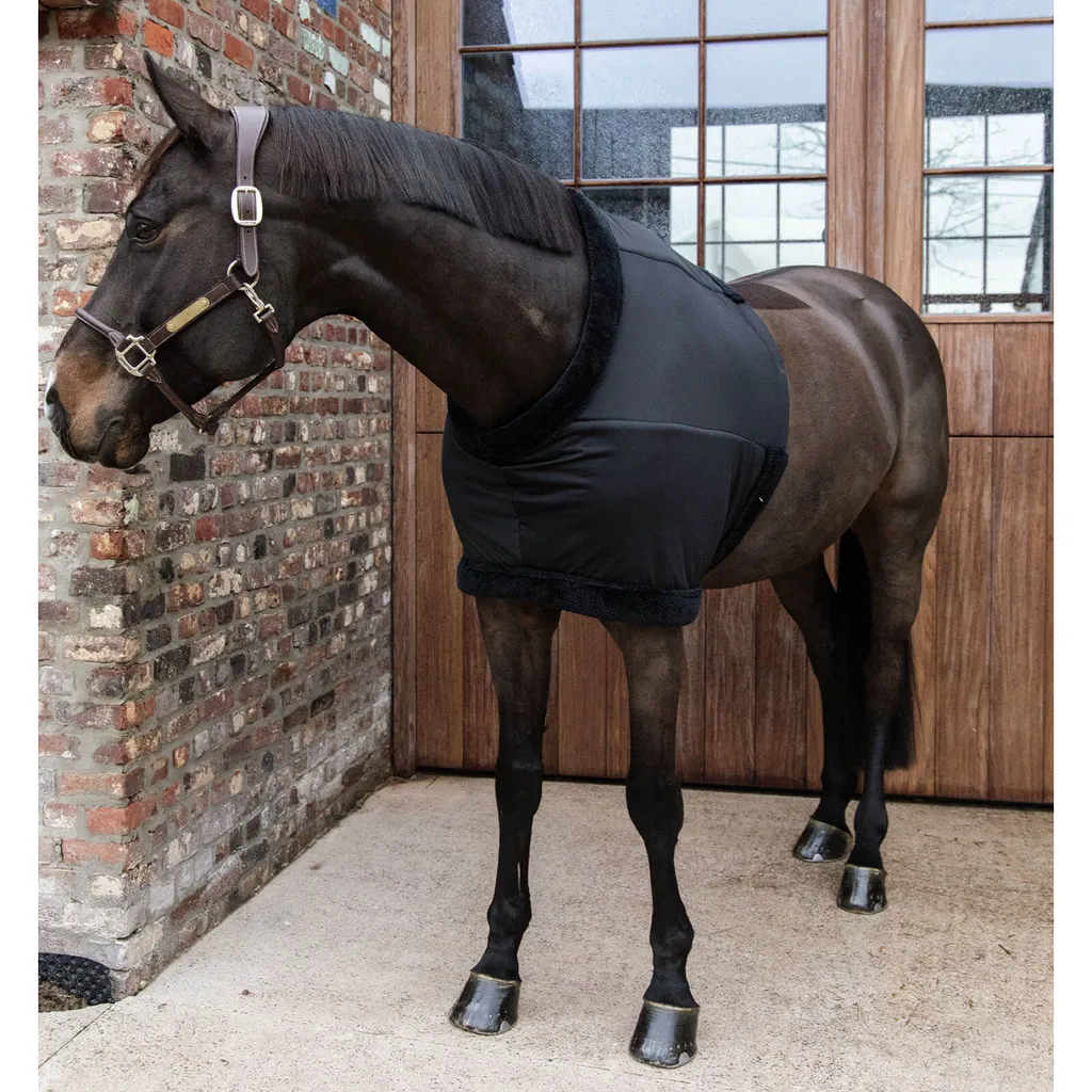 Kentucky Horsewear Proteggi Petto XL Nero | Soluzione Anti-Sfregamento - 4