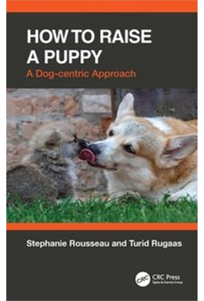 How to Raise a Puppy