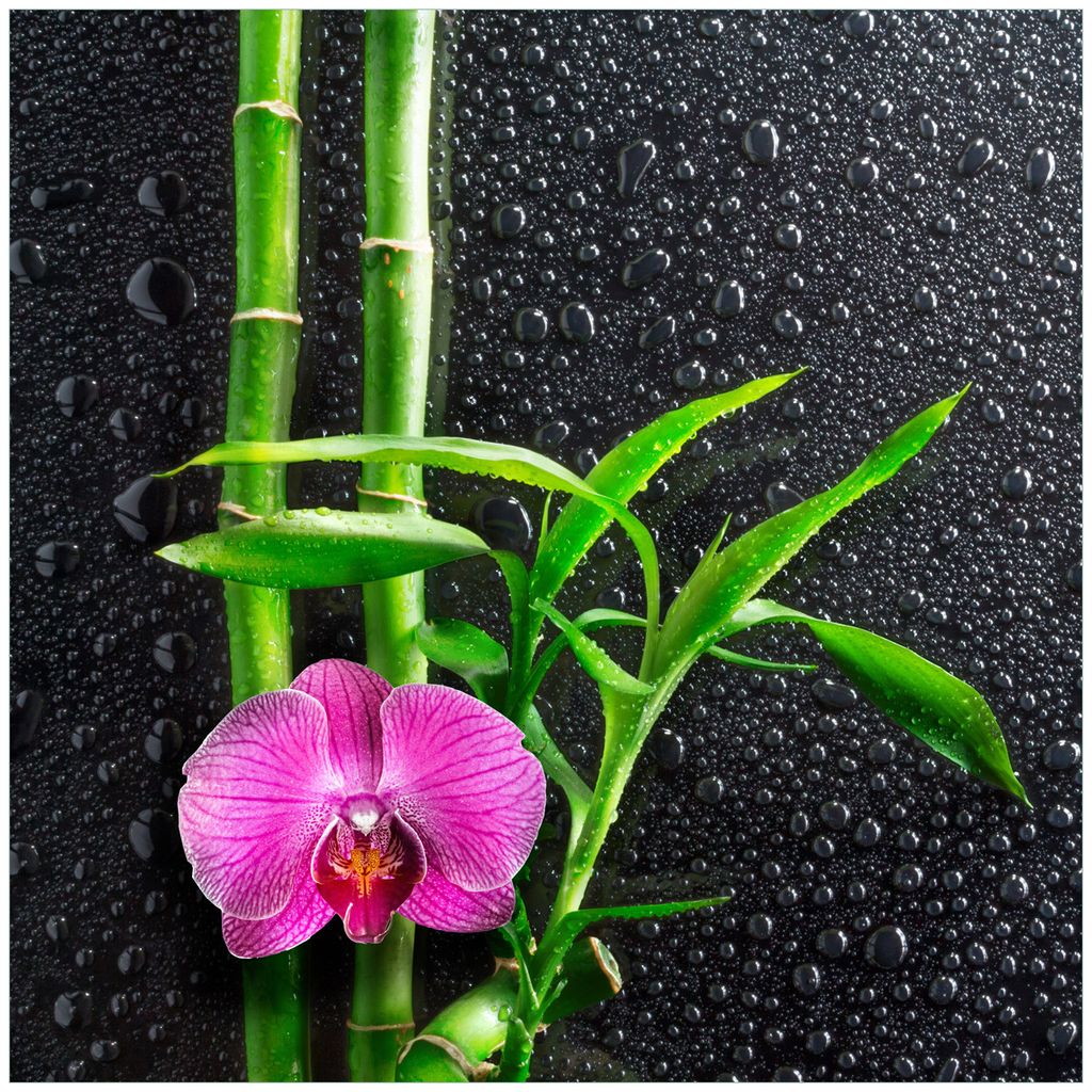 Wallario Wandbild aus Acryl, 50 x 50 cm, freischwebende Optik - Bambus und pinke Orchidee auf schwarzem Glas mit Regentropfen