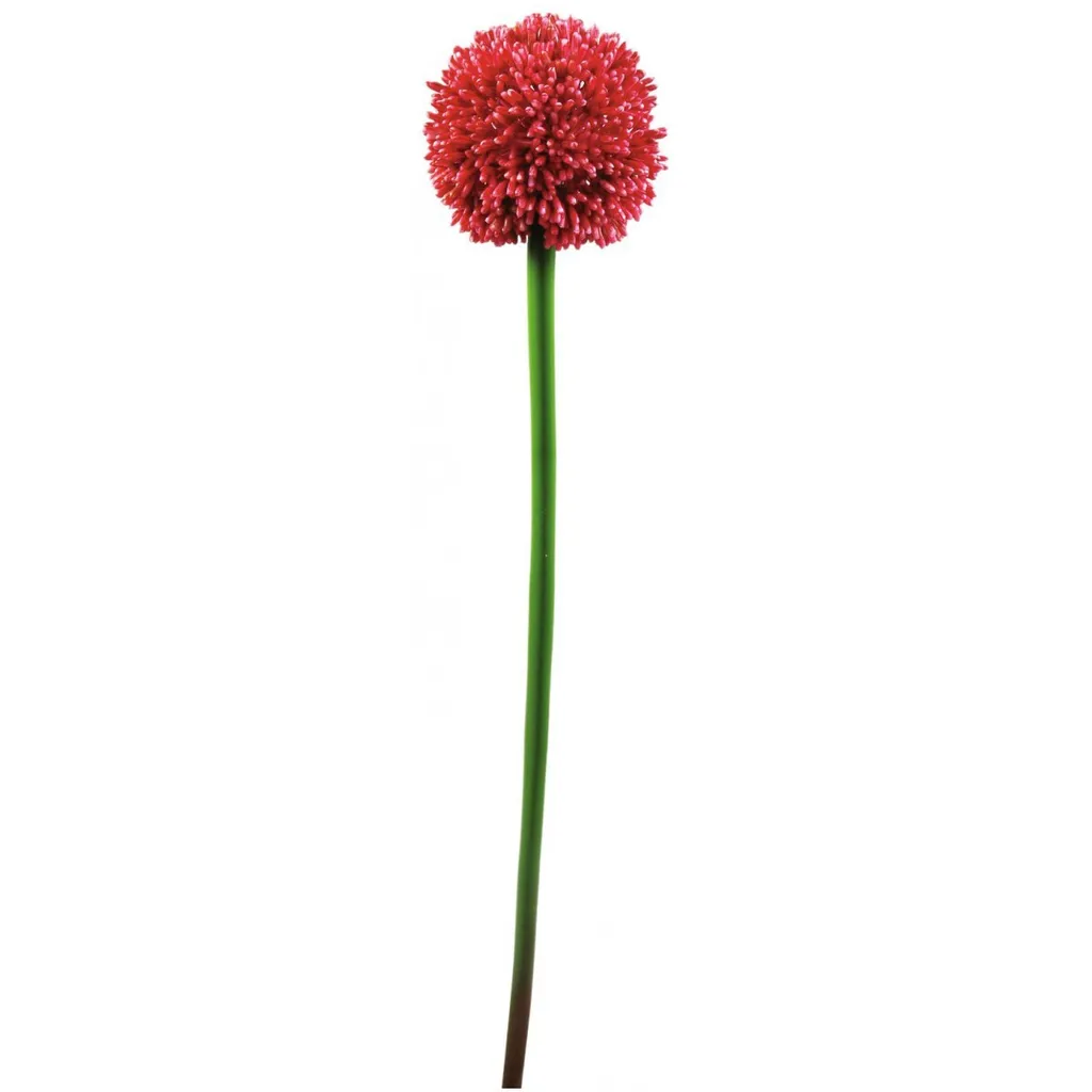 Fleur artificielle allium rouge de 55cm pour composition florale chic