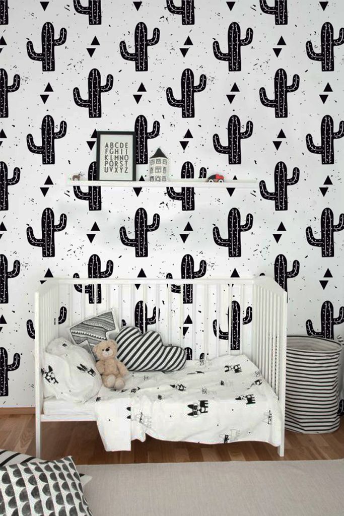 Coloray Fototapete 290x290 cm Latextapete Magicstick - Kakteakaktus.