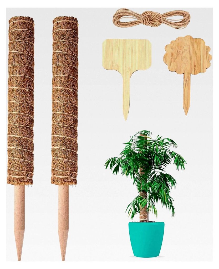 2 Stück Moosstangen für Monstera-Pflanzen, 40 cm ausziehbare Pflanzstäbe aus Kokosfaser