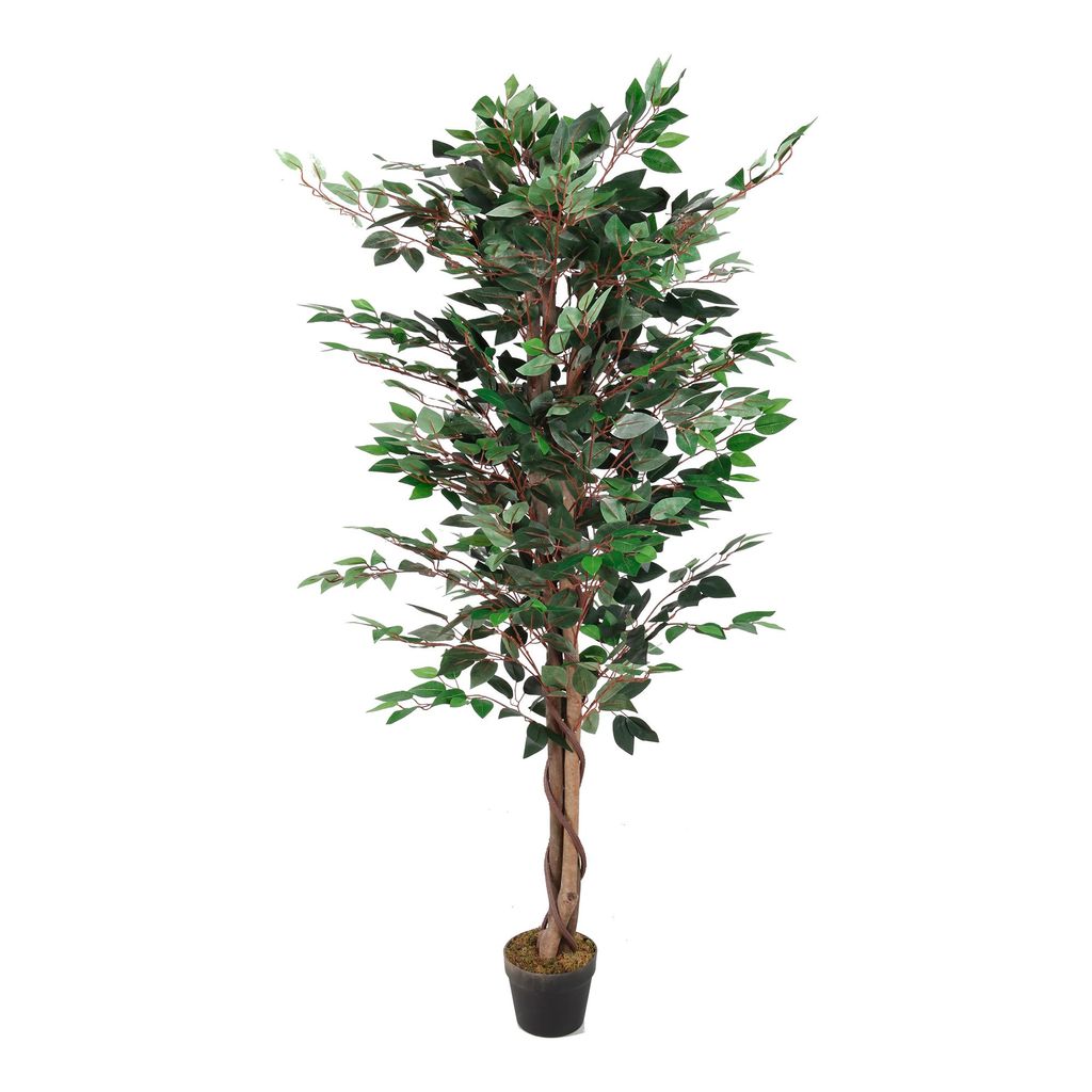 LEX künstliche Pflanze Ficus 1008 Blätter ca. 160 cm Produktbild 