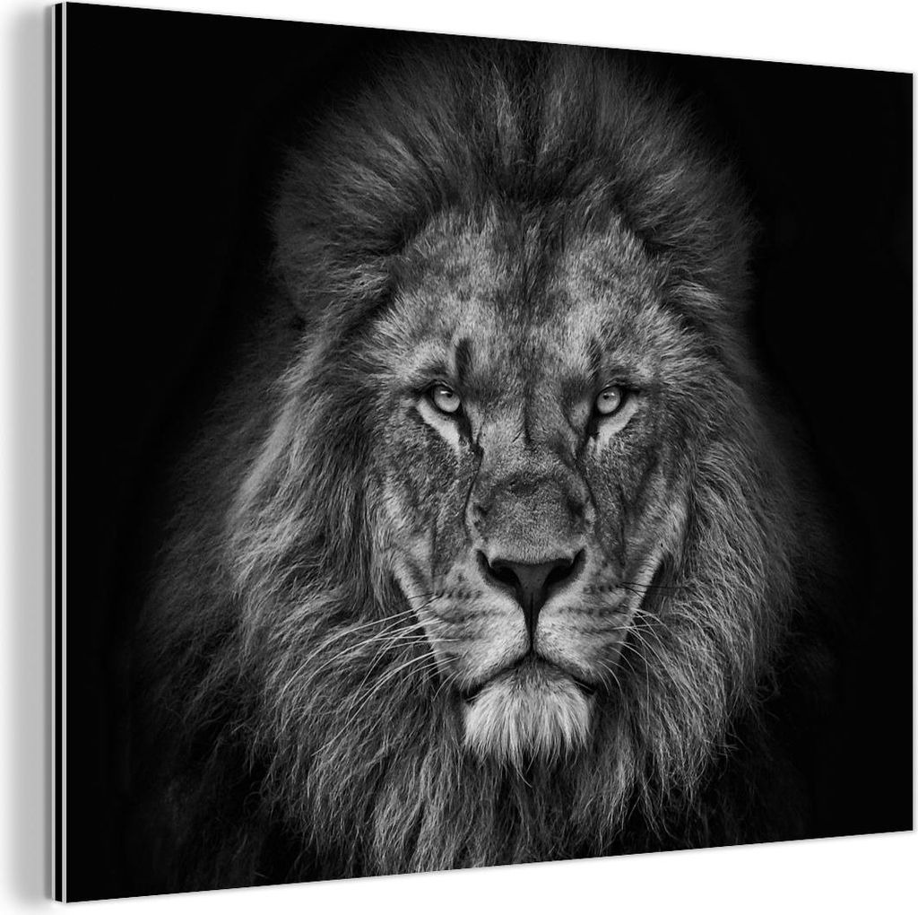 MuchoWow Wanddekoration Metall Metallbild Wandkunst 40x30 cm Löwe - Tiere - Schwarz - Weiß MuchoWow Aluminium Gemälde - Dekoration Wohnzimmer