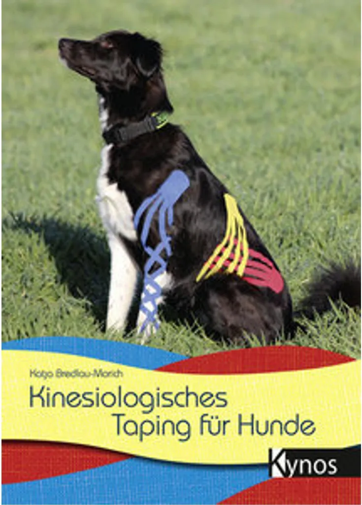 Taping pour Chien Sportif et Senior - Soutien Articulaire et Mobilité