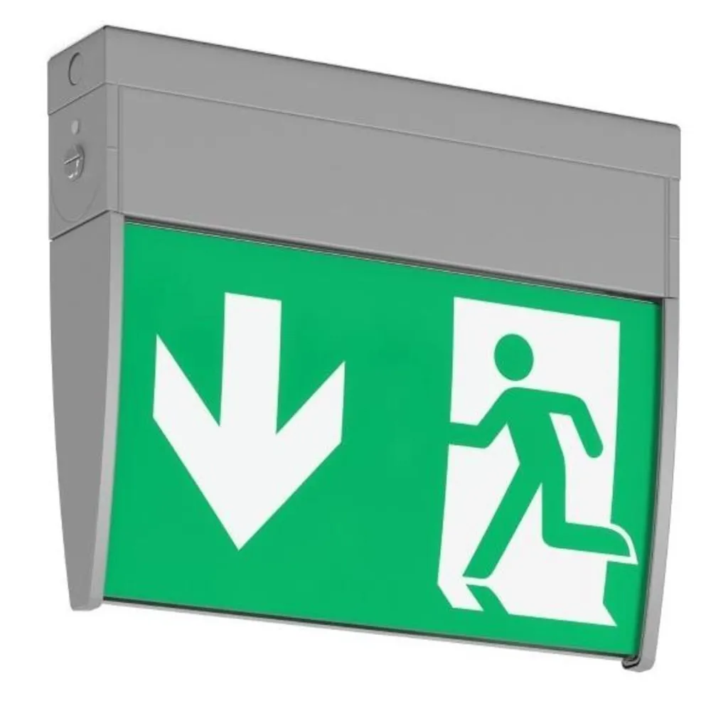 Luminaire de balisage LED Argent IP30 pour issues de secours et ERP