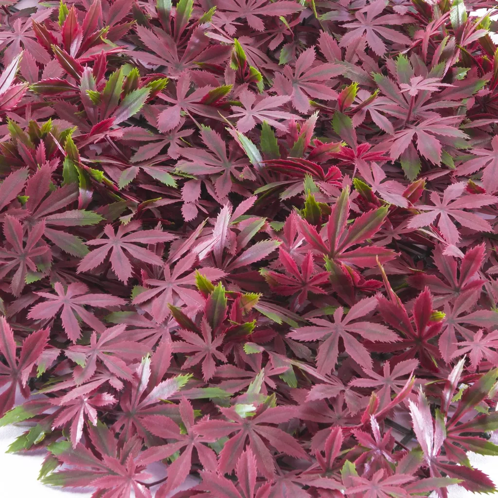 Panneau Haie Synthétique Modulaire Divy Arce 0,5m Vert et Rouge Durable