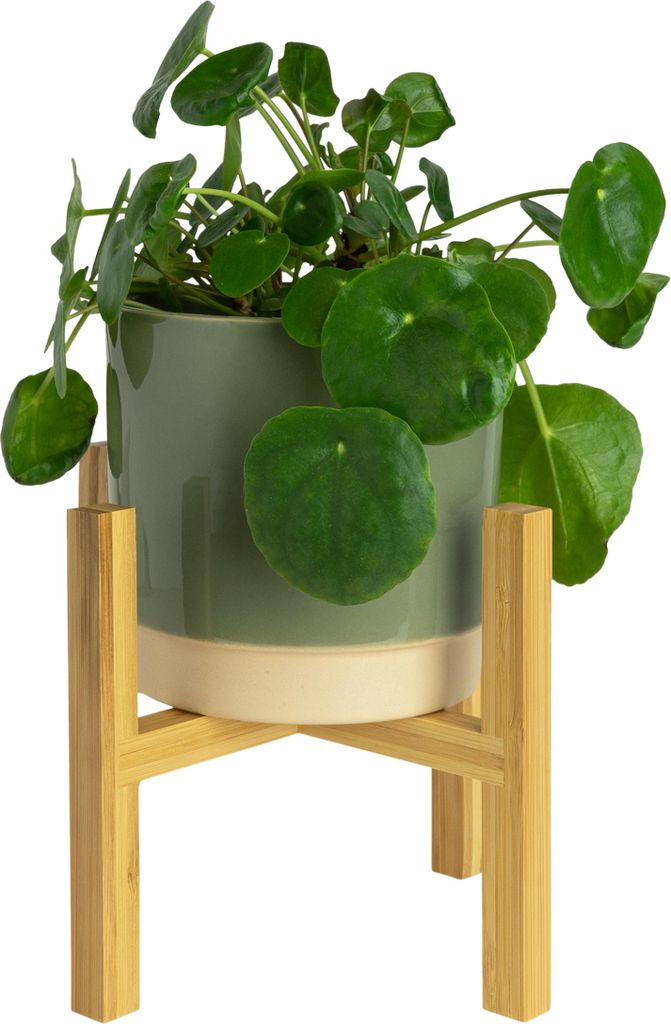 QUVIO Blumentopfständer - Pflanzenständer - Pflanztisch - Blumentopfhalter - Blumentopf auf Beinen - Innendurchmesser 16 cm - Bambus