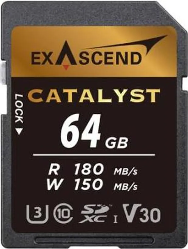 Offerta ExAscend Catalyst 64GB SD: Memoria Professionale per Foto 4K