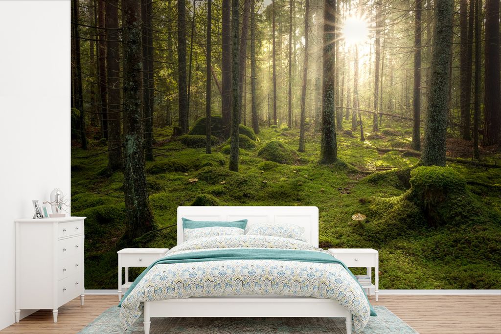 MuchoWow Fototapete für Wohnzimmer oder Schlafzimmer Wandtapete Vinyl Motivtapete Wald - Sonne - Baum - 390x260 cm - Papiertapete