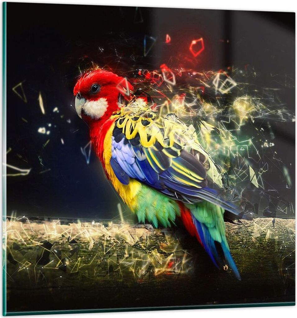 Bilder auf glas - Papagei Vogel Feder - 40x40cm - Glasbilder - Wandbilder - Kunstdruck - zum Aufhängen bereit - Wanddekoration aus Glas - Glas Bil...