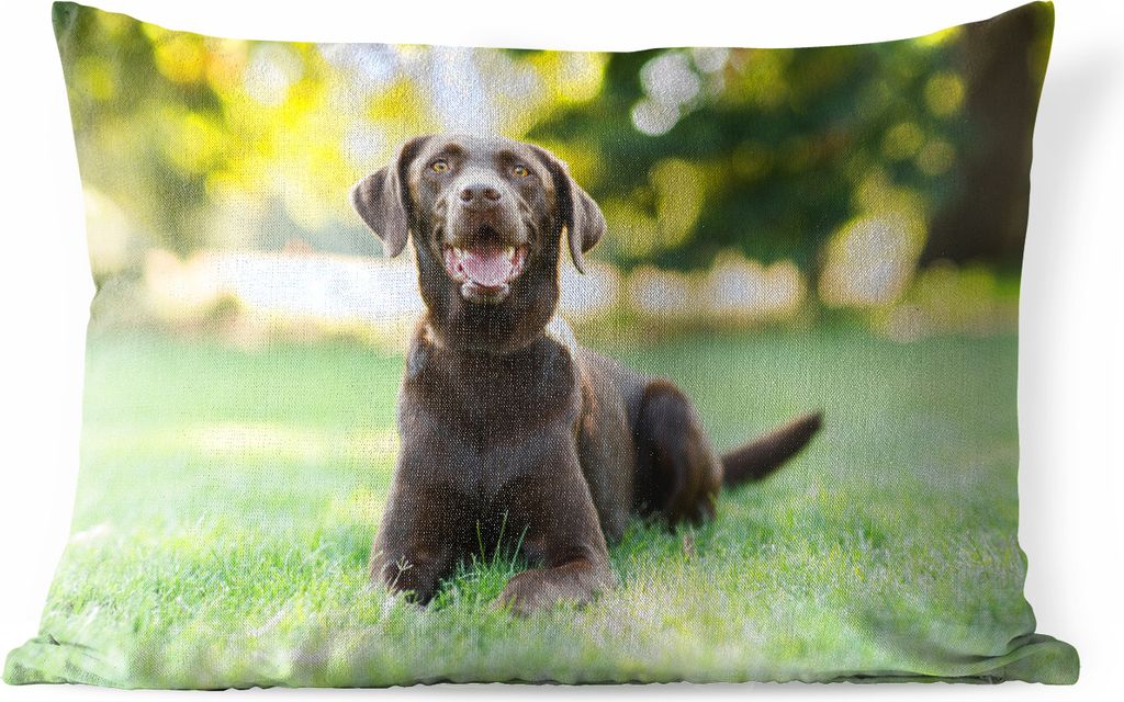 MuchoWow Outdoor Kissen - Ein Labrador Retriever liegt im Gras - 60x40 cm - Wetterfest - Lounge Kissen - Zierkissen - Kissen für Innenräume