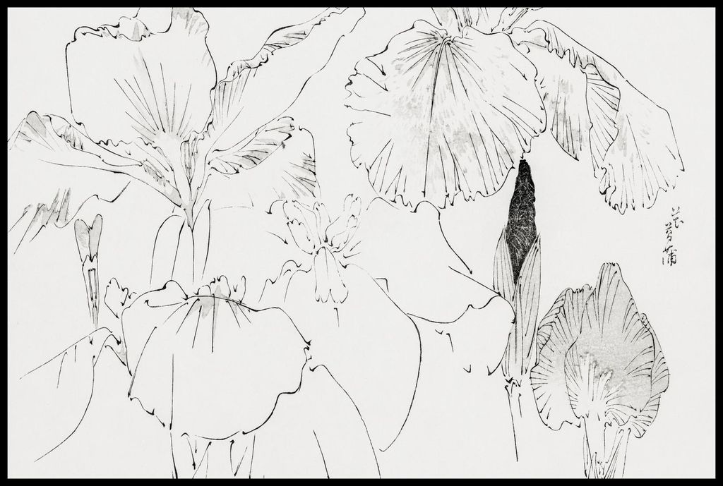 Plakat 91,5x61cm Iris, Bijutsu Sekai Japanischer Vintage für das Wohnzimmer