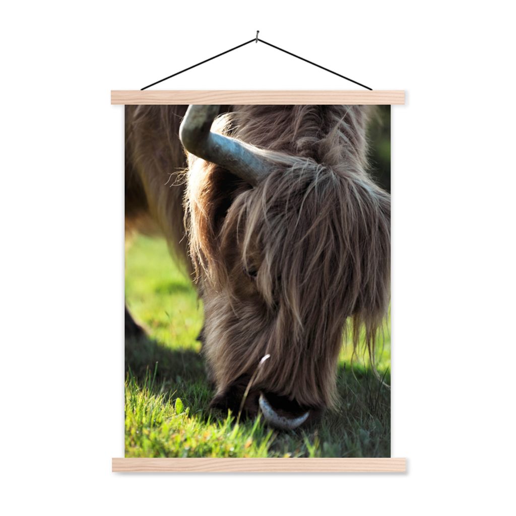 MuchoWow Textilposter Schottischer Highlander - Hörner - Sonne 60x80 cm mit holzfarbenen Rahmen - Wandbild