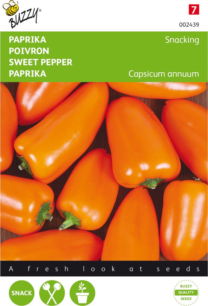 Paprika Snacking Mini Orange | Paprikasamen von Buzzy Seeds