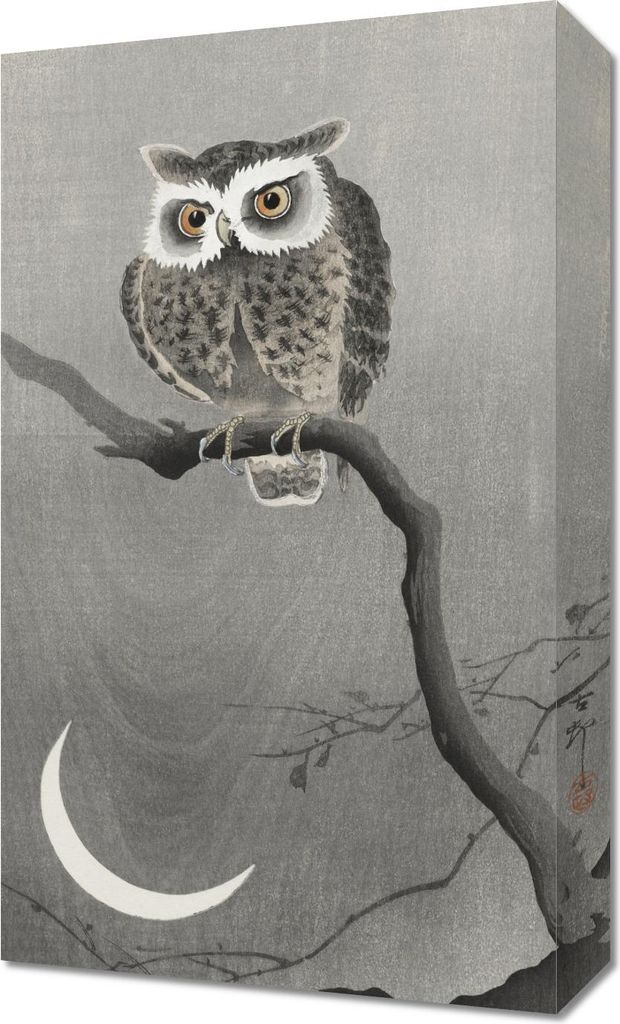 Bild 30x50cm Langohr-Eule, Japanischer Koson Vintage für das Wohnzimmer