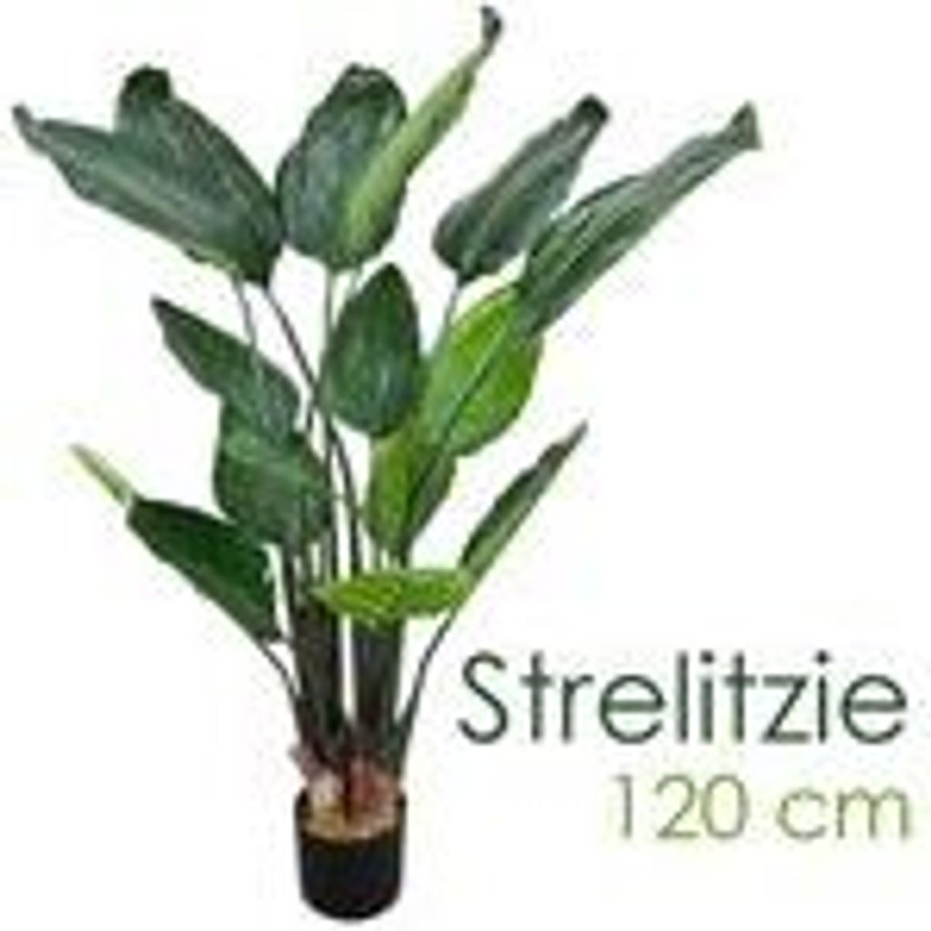 Strelitzie Strelizie Paradiesvogelblume Kunstpflanze Produktbild 