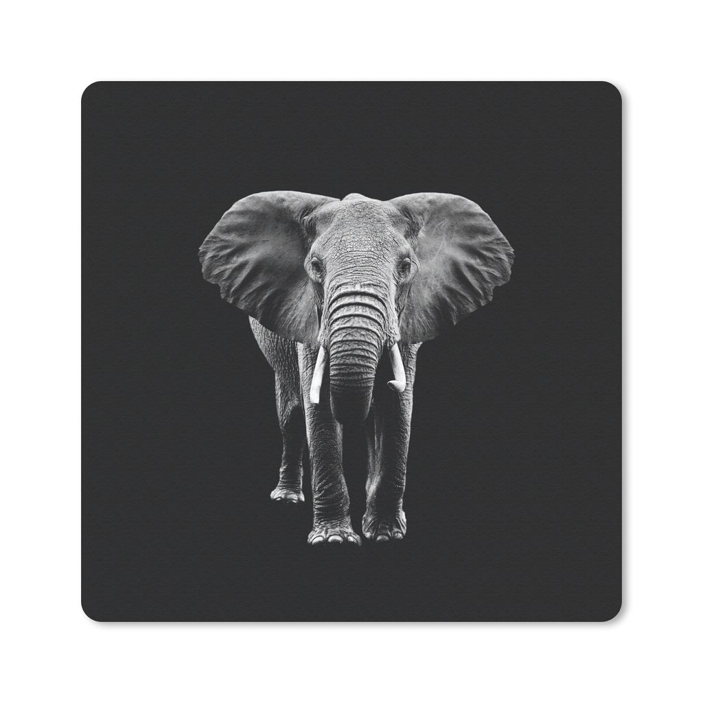 MuchoWow Mauspad Mousepad Elefant - Zähne - Tiere - Schwarz - Weiß 30x30 cm - Mousepads - Maus Mat - Pad - Mausunterlage - Gaming