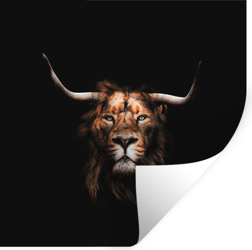 MuchoWow Wandtattoo Wandsticker Wandaufkleber Löwe - Tiere - Schottischer Highlander 100x100 cm Selbstklebend und Repositionierbar - Wierderverw...