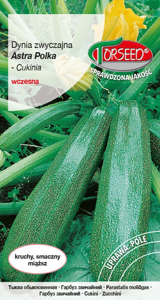 Samen des Gewöhnlichen Kürbisses - Torsaat Produktbild 