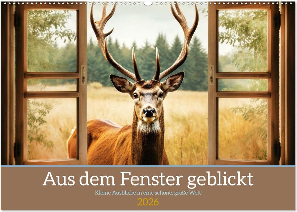 Aus dem Fenster geblickt (Wandkalender 2026 DIN A2 quer), CALVENDO Monatskalender