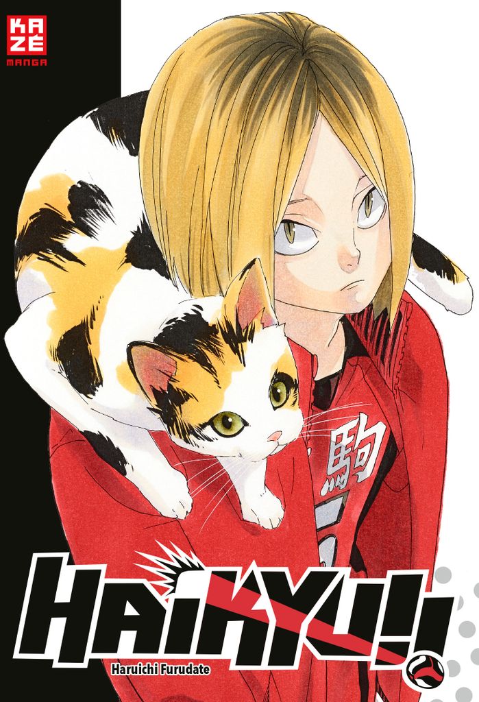 Haikyu!! Sammelbox 3 - Band 21-30 im Schuber