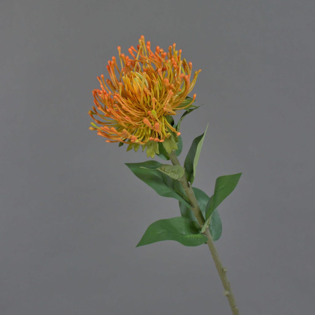 artplants.de Protea künstlich HERVAS, orange, 70cm - Künstliche Protea Blume/Textilpflanze/Protea Deko