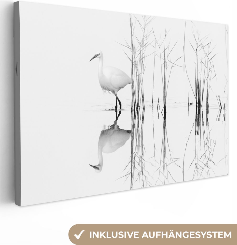 OneMillionCanvasses - Leinwandbilder - 140x90 cm, Vogel - Wasser - Pflanzen - Natur, Wandbilder Kunstdruck Wanddekoration - Foto auf Leinwand - G...