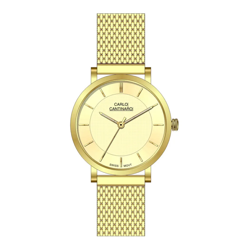 Montre Quartz pour Homme Carlo Cantinaro CC1001GM013 Bracelet Acier