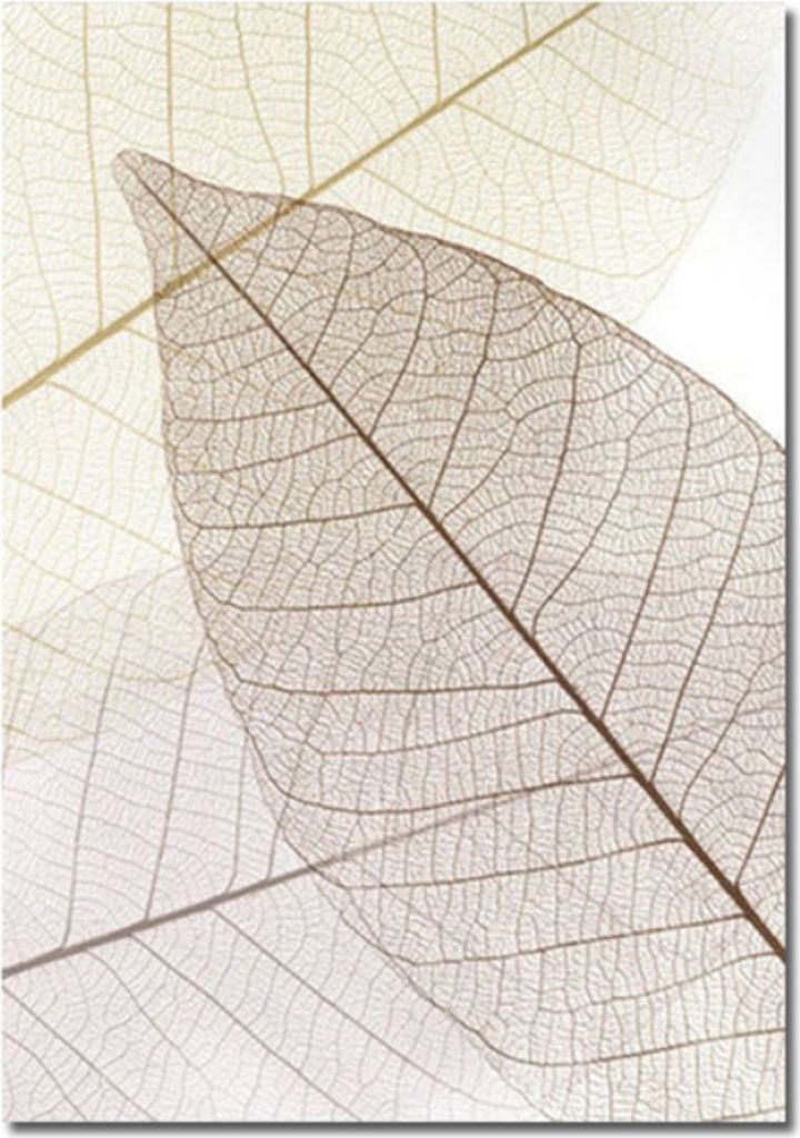TPFLiving Kunstdruck LW-401 (OHNE RAHMEN) Poster - Leinwand - Wandbild - Hochauflösender Giclée-Druck, langlebig und hochwertig - Ginkgo-Blatt - ...