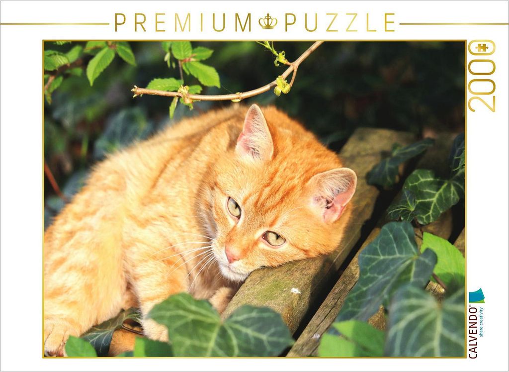 CALVENDO Puzzle Kuschelzeit 2000 Teile Puzzle quer | 2000 Teile Lege-Größe 90x67cm Foto-Puzzle für glückliche Stunden