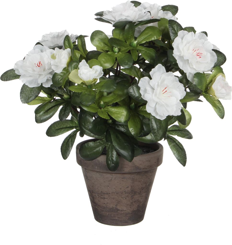 Mica Decorations Azalee Kunstpflanze im Blumentopf Stan - Produktbild 