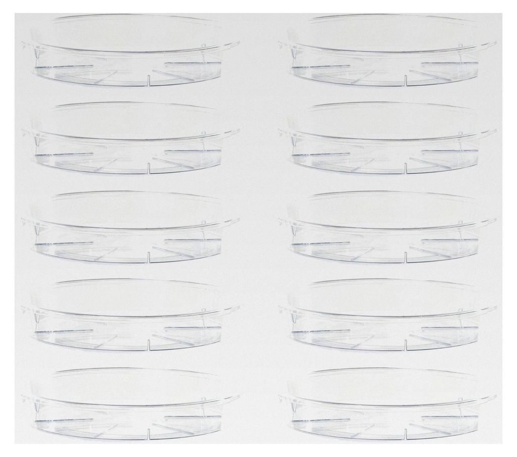Transparente Blumentopfuntersetzer aus Kunststoff, Set mit 10 Stück, Ø 12 cm, rund für Innen- und Außenbereich