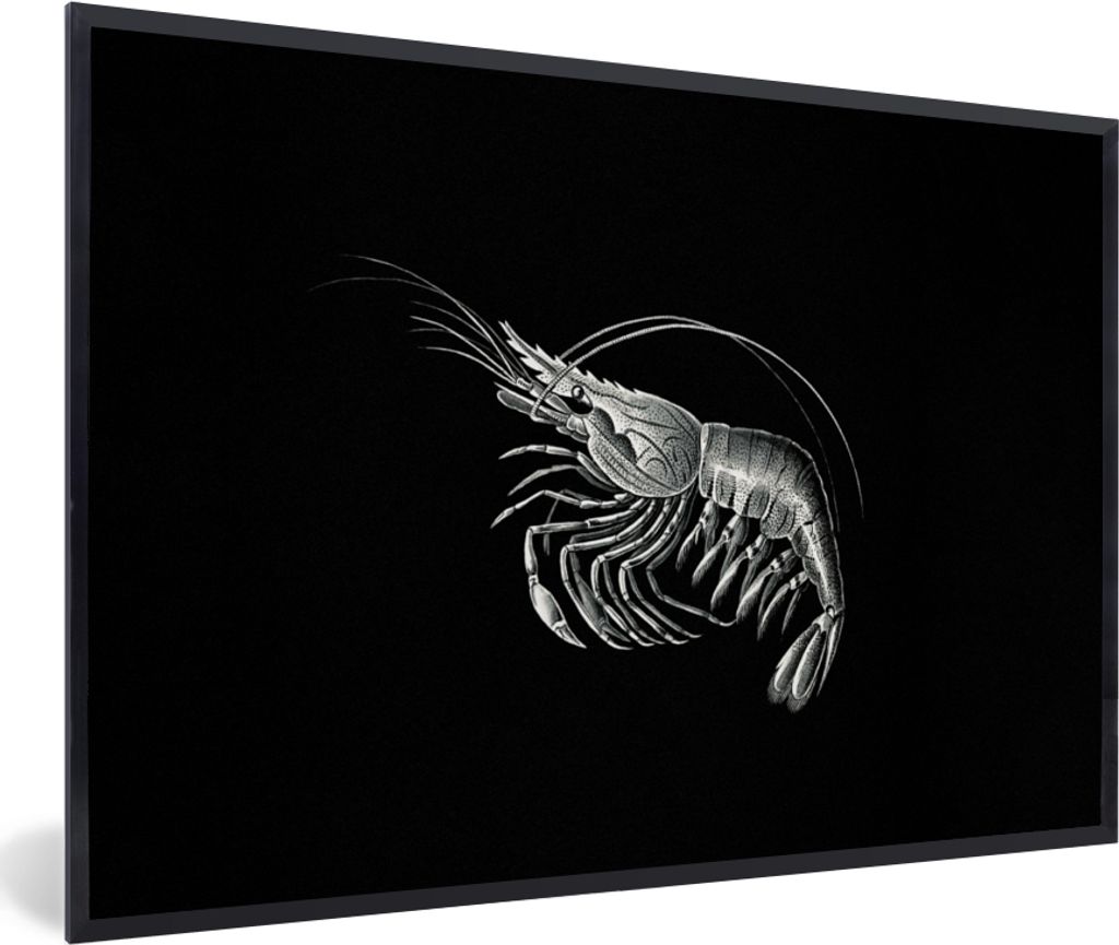 MuchoWow Gerahmtes Poster Shrimps - Vintage - Ernst Haeckel - Tiere - Kunst 60x40 cm - Poster mit Schwarzem Bilderrahmen Wandposter Rahmen Foto B...