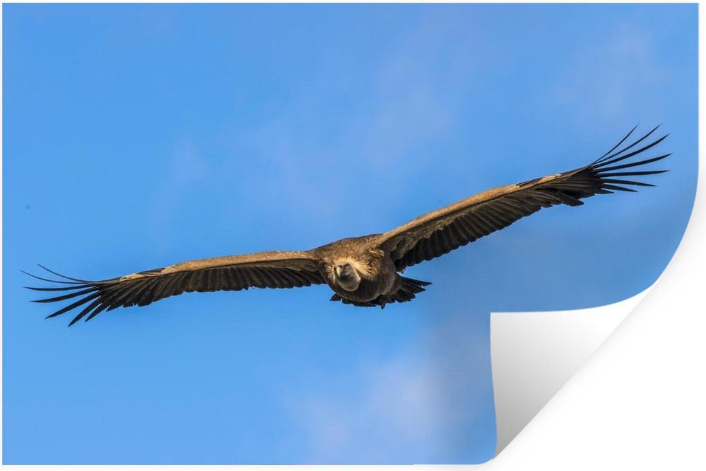 MuchoWow - Wierderverwendbar - Selbstklebend