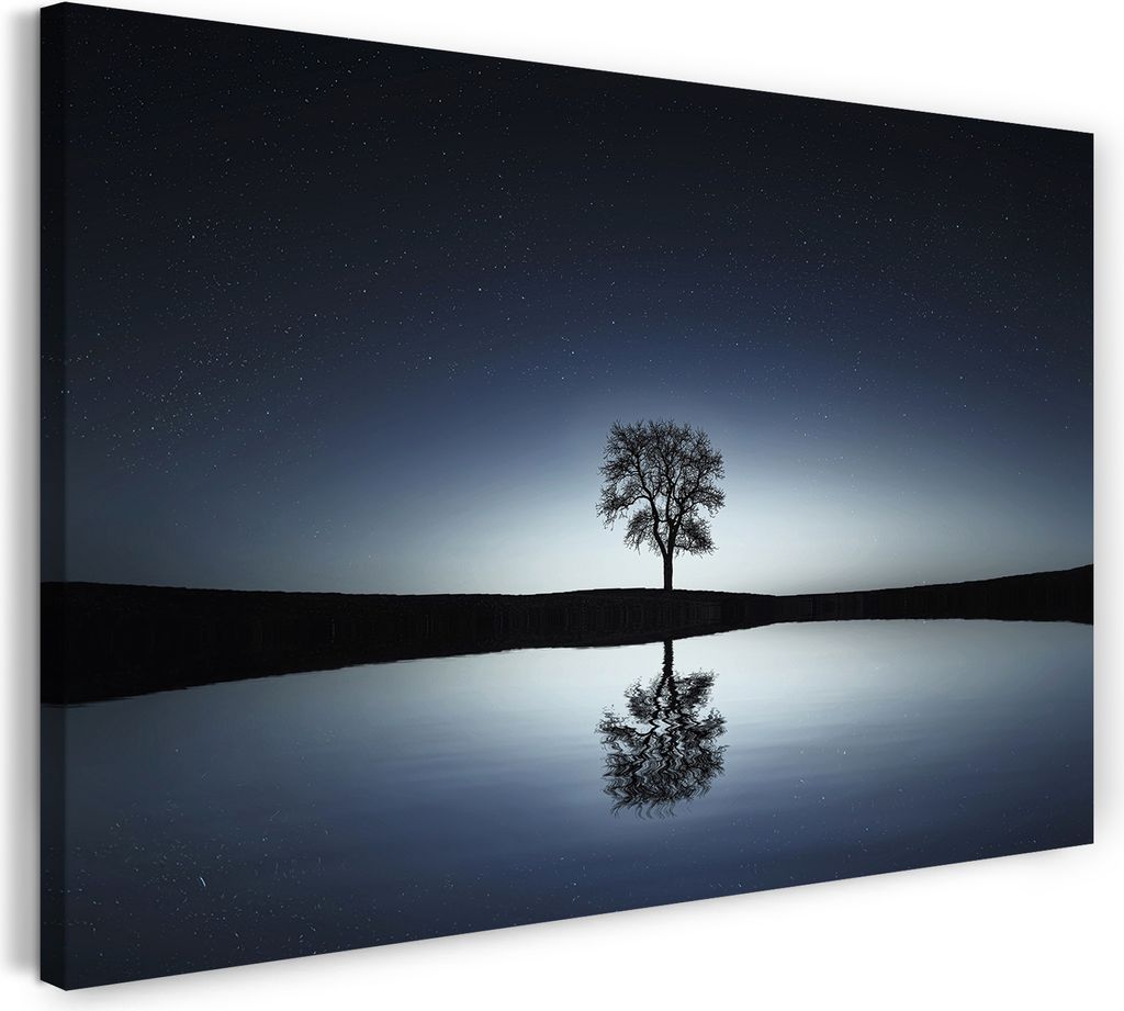 Leinwandbild (80x60cm): Fantasy-Baum Nacht im Wasser gespiegelt vor Sternen-Himmel blau, echter Holz-Keilrahmen inkl. Aufhänger, handgefertigt in ...