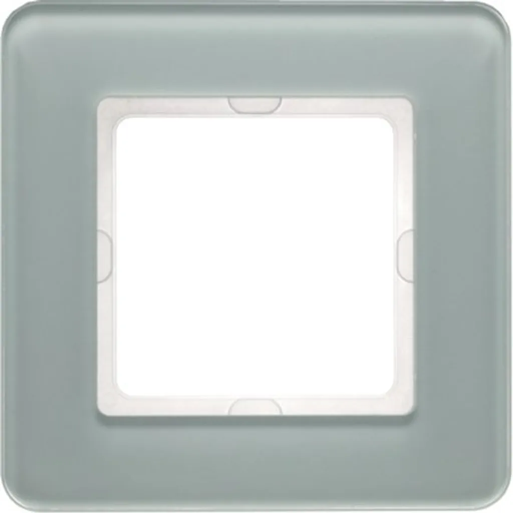 Plaque d'interrupteur Berker 10116079 finition blanc pour la maison