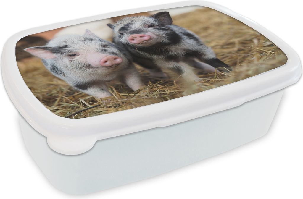 KitchenYeah Lunchbox Brotzeit Brotdose 17x11 cm Schwein - Tiere - Ferkel Kinder Brotzeitdose - Lunch Box - Kinder - Sandwich-Box - Schulbox - Lun...