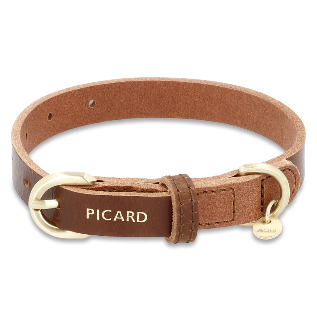 Florentina Hundehalsband Mit Blumenmuster - Größe XS, Verstellbar, Neopren Gepolstert