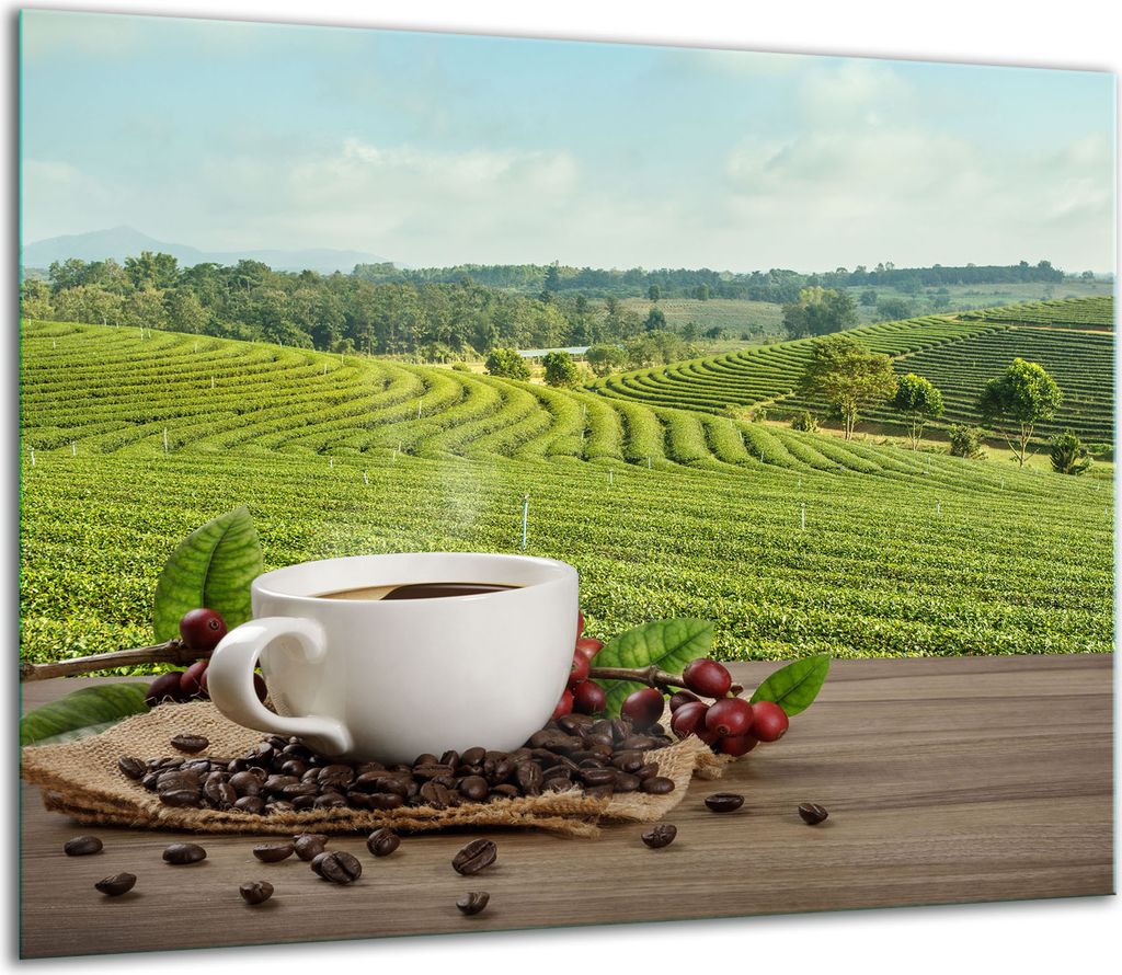 Herdabdeckplatten Glaskeramikkochfeld-Abdeckung Spritzschutz Glas 60x52cm Kaffee
