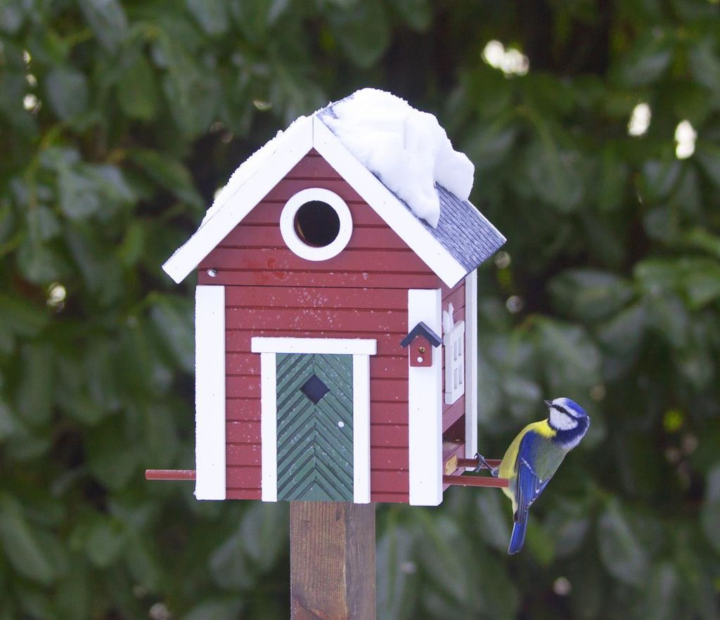 Wildlife Garden WG101 Multiholk Schwedenkate - Der Produktbild 