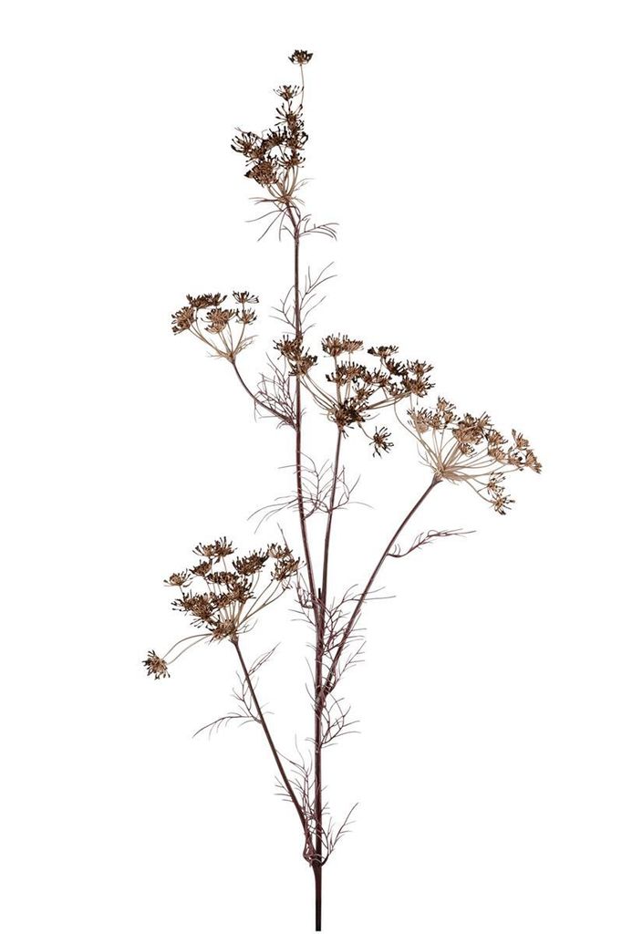 Fink ZWEIG, Kunstblume, Kunstfasern, braun, L. 25 cm, B. 25 cm, H. 120 cm Höhe: 120.00 cm Breite: 25.00 cm Tiefe: 25.00cm 188052