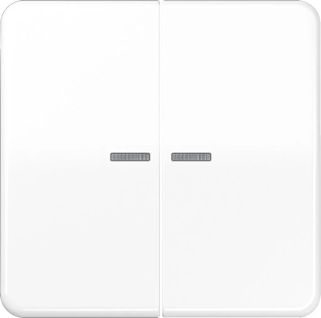 Bascule Double Interrupteur JUNG CD500 Blanc Alpin pour Montage Encastré