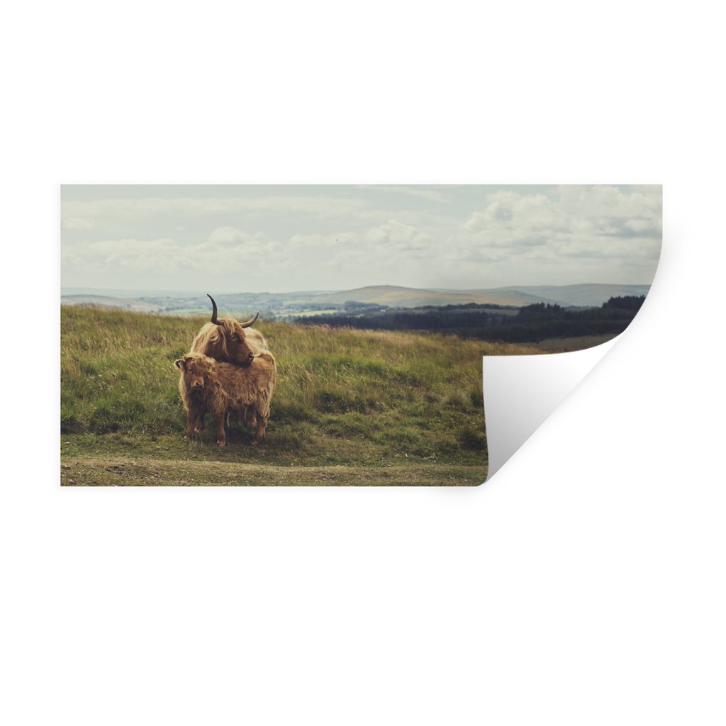MuchoWow Wandtattoo Wandsticker Wandaufkleber Schottische Highlander - Gras - Wolken - Tiere 40x20 cm Selbstklebend und Repositionierbar - Aufkleber