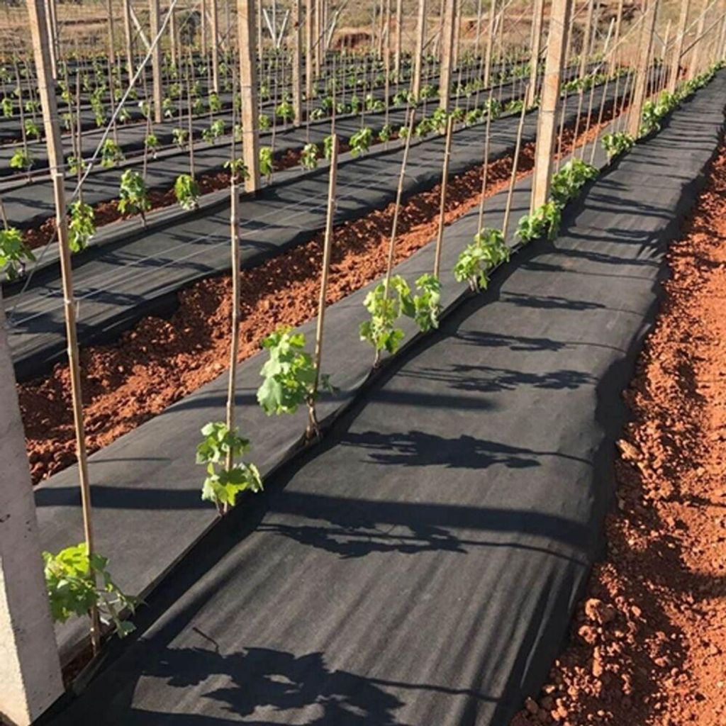 BALINCO Velo per Erbacce 50g/m² | Foglio per Erbacce | Velo da Giardino Contro Le Erbacce - Resistente agli Strappi, permeabile all'Acqua e ad Alta stabilizzazione UV (10m² (5m x 2m