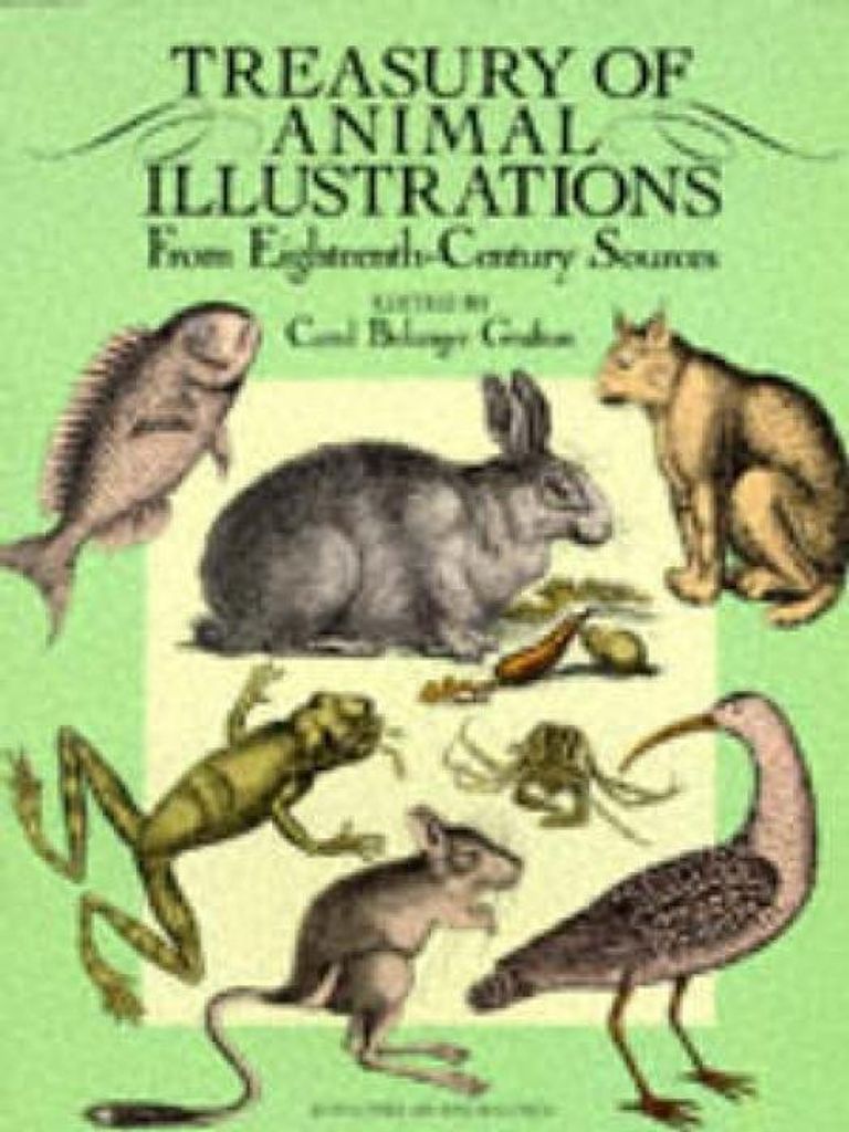 Treasury Of Animal Illustrations From Ei – Lingua: Inglese