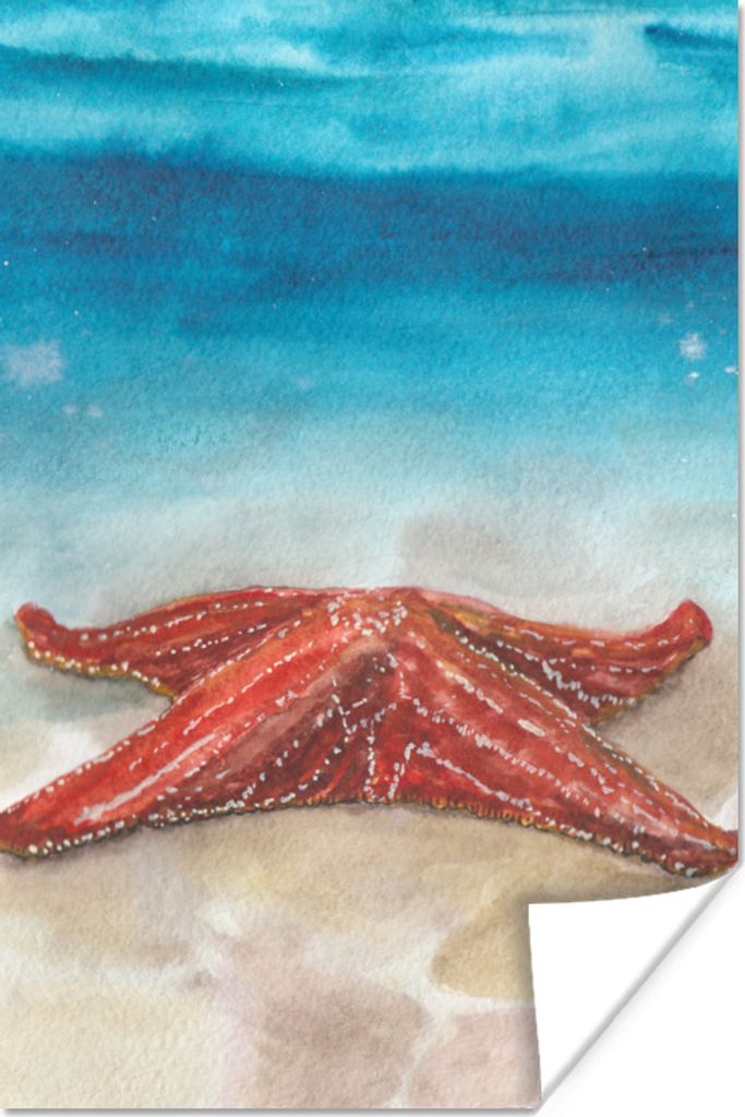 MuchoWow Poster Seestern - Aquarell - Meer 20x30 cm - Papierdruck