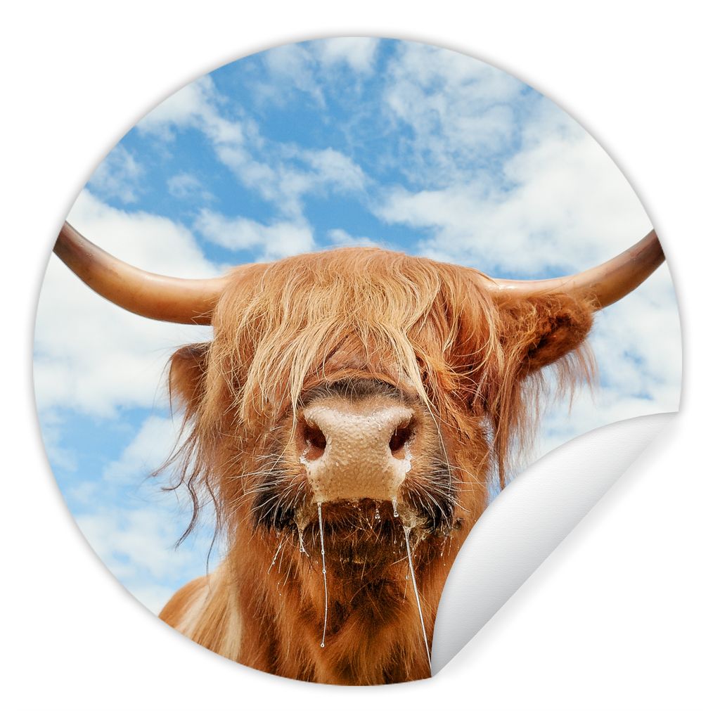 MuchoWow Runde Wandtattoo - Wandsticker Tapete Aufkleber Schottischer Highlander - Wolke - Tiere Ø 100 cm Selbstklebend und Repositionierbar - W...