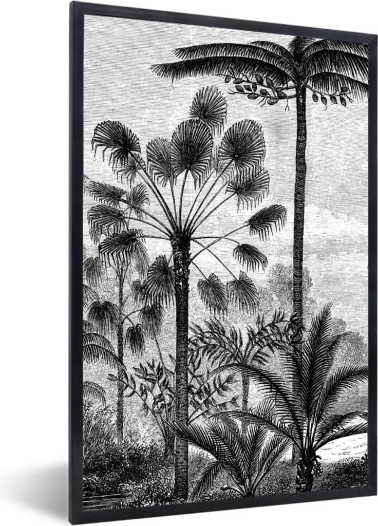 MuchoWow Gerahmtes Poster Design - Bäume - Natur - Pflanzen - Botanisch 60x90 cm - Poster mit Schwarzem Bilderrahmen Wandposter Rahmen Foto Bild...