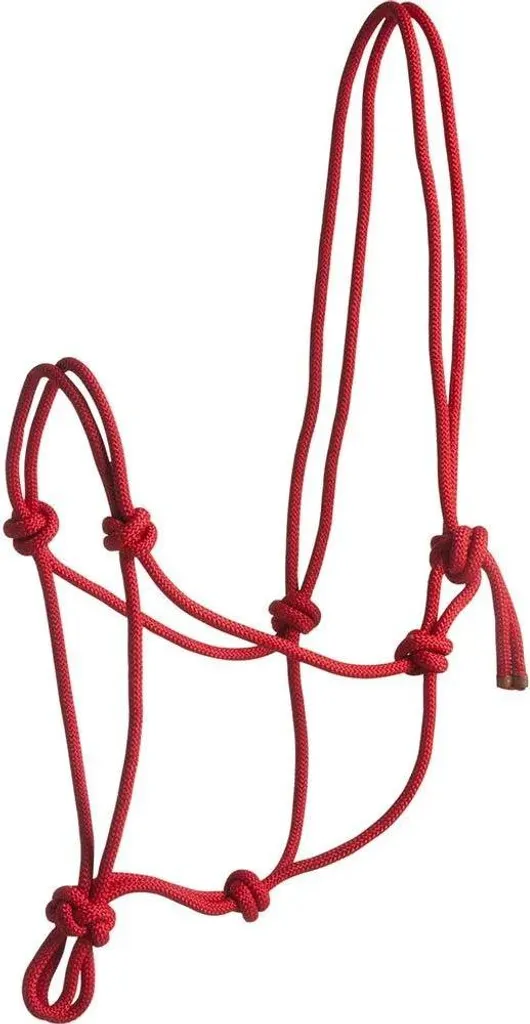 Acquista Norton Equestrian First Halfter Rosso Full Online